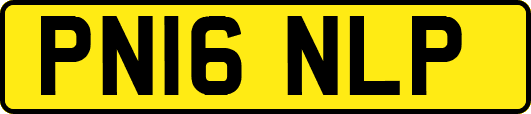 PN16NLP