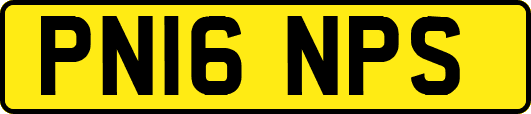 PN16NPS