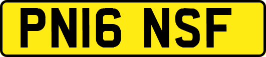 PN16NSF