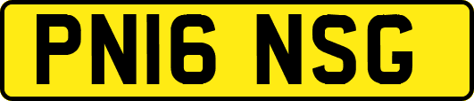 PN16NSG