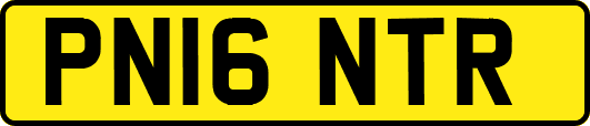 PN16NTR