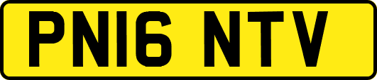 PN16NTV