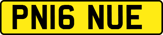 PN16NUE
