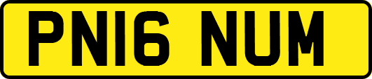PN16NUM