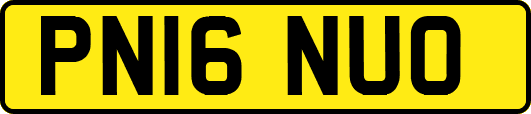 PN16NUO