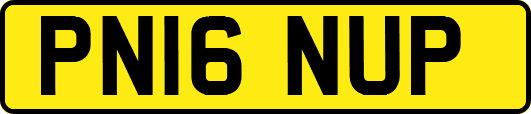 PN16NUP