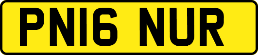 PN16NUR
