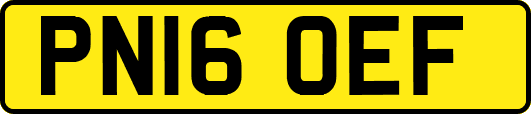 PN16OEF
