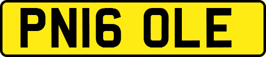 PN16OLE