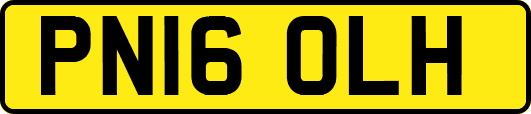 PN16OLH