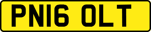 PN16OLT