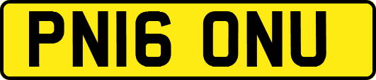 PN16ONU