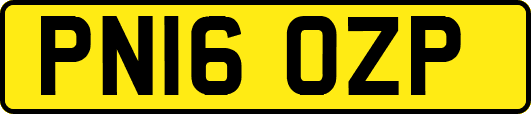 PN16OZP