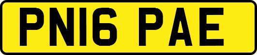 PN16PAE