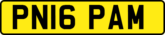PN16PAM