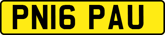 PN16PAU