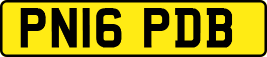 PN16PDB