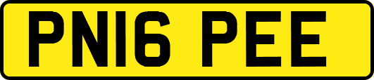 PN16PEE