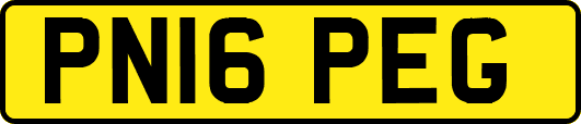 PN16PEG