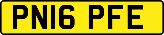 PN16PFE