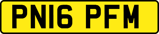PN16PFM