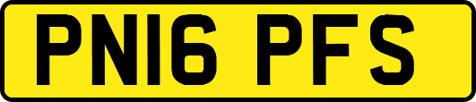 PN16PFS