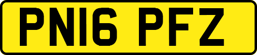 PN16PFZ