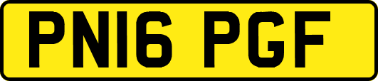 PN16PGF