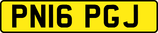 PN16PGJ