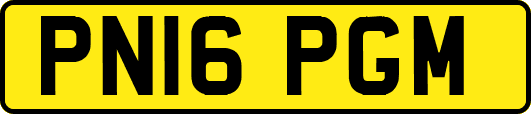 PN16PGM