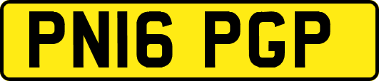 PN16PGP