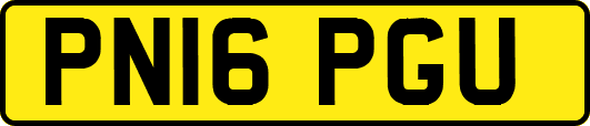 PN16PGU