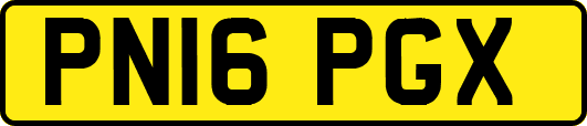 PN16PGX