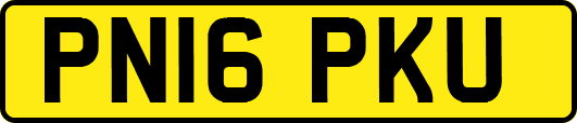 PN16PKU