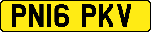 PN16PKV