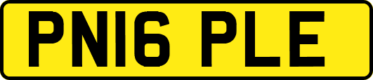 PN16PLE