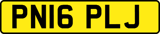 PN16PLJ