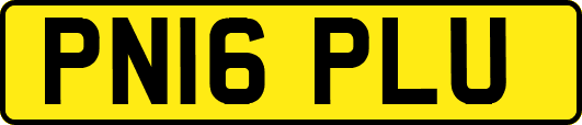 PN16PLU