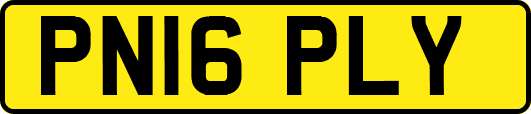 PN16PLY