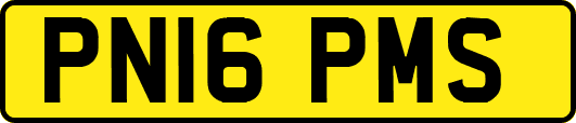 PN16PMS