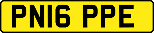 PN16PPE