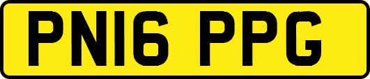 PN16PPG