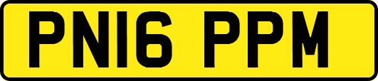 PN16PPM