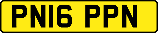PN16PPN