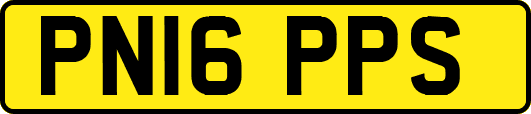 PN16PPS