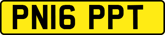PN16PPT