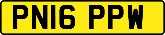 PN16PPW