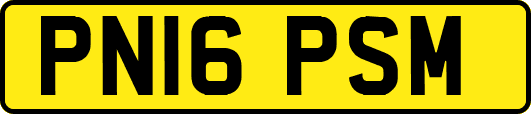 PN16PSM