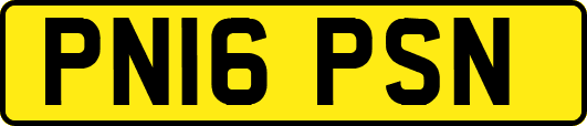 PN16PSN