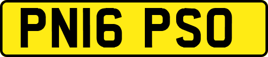 PN16PSO